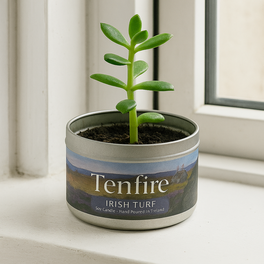 A turf candle being used as a plant pot