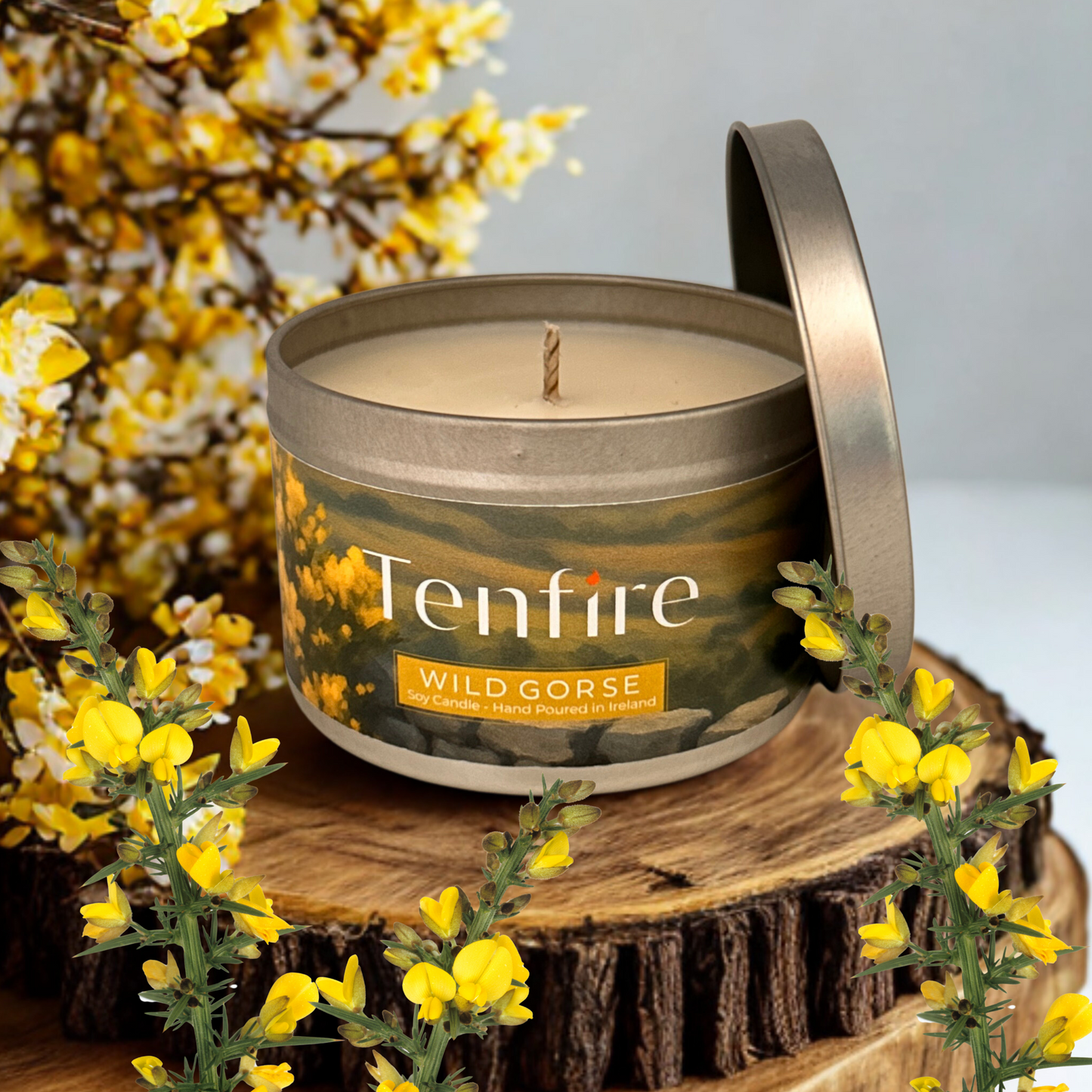 Candle tin open surrounded by wild gorse flowers