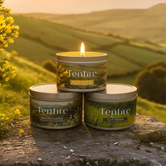 The Wild Ireland candles collection in an Irish field